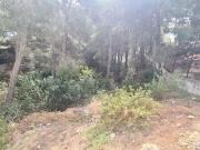 Terreno/Finca Rústica en venta en Altea, Alicante Costa...