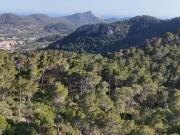 Terreno/Finca Rústica en venta en Andratx, Mallorca