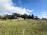 Terreno/Finca Rústica en venta en Artà, Mallorca