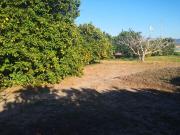 Terreno/Finca Rústica en venta en Barbate, Cádiz Costa...