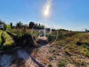 Terreno/Finca Rústica en venta en Burriana / Borriana,...