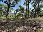 Terreno/Finca Rústica en venta en Calonge i Sant Antoni,...