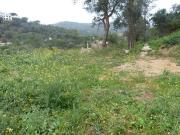 Terreno/Finca Rústica en venta en Calonge i Sant Antoni,...