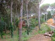 Terreno/Finca Rústica en venta en Calonge i Sant Antoni,...