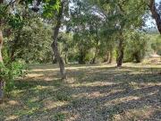 Terreno/Finca Rústica en venta en Calonge i Sant Antoni,...