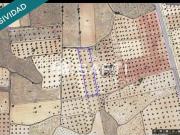 Terreno/Finca Rústica en venta en Campo de Criptana,...