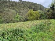 Terreno/Finca Rústica en venta en Carreño, Asturias...