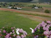 Terreno/Finca Rústica en venta en Castrillón, Asturias