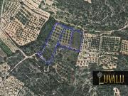 Terreno/Finca Rústica en venta en Cervera del Maestre /...