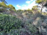 Terreno/Finca Rústica en venta en Ciutadella de Menorca,...