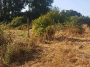 Finca/Casa Rural en venta en Coín, Málaga