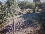 Finca/Casa Rural en venta en Dénia, Alicante Costa Blanca