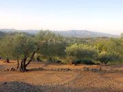 Terreno/Finca Rústica en venta en El Perelló, Tarragona...