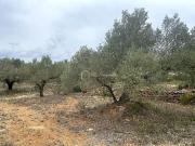 Terreno/Finca Rústica en venta en El Perelló, Tarragona...