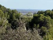 Terreno/Finca Rústica en venta en El Perelló, Tarragona...