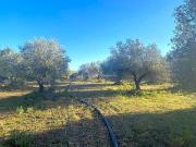 Terreno/Finca Rústica en venta en El Perelló, Tarragona...
