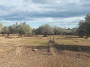 Terreno/Finca Rústica en venta en El Perelló, Tarragona...