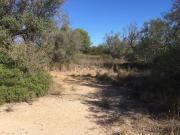 Terreno/Finca Rústica en venta en El Perelló, Tarragona...