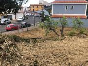 Terreno/Finca Rústica en venta en El Tanque, Tenerife