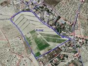 Terreno/Finca Rústica en venta en Elche / Elx, Alicante Terreno/Finca Rústica en venta en Elche / Elx, Alicante