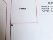 Terreno/Finca Rústica en venta en Elche / Elx, Alicante