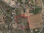Terreno/Finca Rústica en venta en Elche / Elx, Alicante