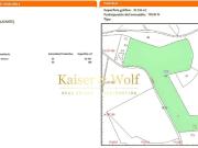 Terreno/Finca Rústica en venta en Elche / Elx, Alicante