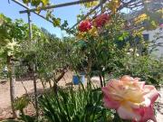 Terreno/Finca Rústica en venta en Fataga, Gran Canaria
