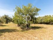 Terreno/Finca Rústica en venta en Felanitx, Mallorca