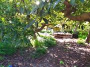 Terreno/Finca Rústica en venta en Frigiliana, Málaga...