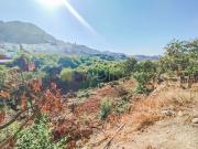 Terreno/Finca Rústica en venta en Frigiliana, Málaga...