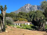Terreno/Finca Rústica en venta en Golden Mile, Málaga...
