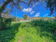 Terreno/Finca Rústica en venta en Golden Mile, Málaga...