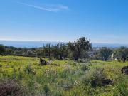 Terreno/Finca Rústica en venta en Golden Mile, Málaga...