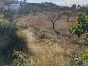 Terreno/Finca Rústica en venta en Huércal Overa, Almería
