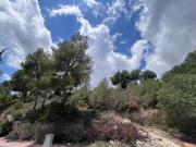 Terreno/Finca Rústica en venta en Ibiza / Eivissa, Ibiza