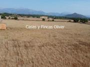 Terreno/Finca Rústica en venta en Inca, Mallorca
