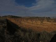Terreno/Finca Rústica en venta en Jumilla, Murcia