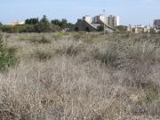 Terreno/Finca Rústica en venta en La Manga del Mar...