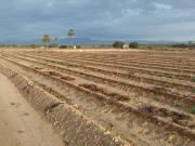 Terreno/Finca Rústica en venta en La Marina, Alicante... Terreno/Finca Rústica en venta en La Marina, Alicante...