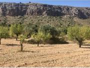 Terreno/Finca Rústica en venta en La Romana, Alicante