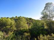 Terreno/Finca Rústica en venta en L'Alcúdia de...