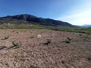 Terreno/Finca Rústica en venta en L'Algueña /...