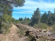 Terreno/Finca Rústica en venta en L'Ametlla de Mar,...