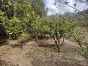 Terreno/Finca Rústica en venta en San Bartolomé de...