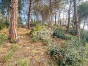Terreno/Finca Rústica en venta en Lloret de Mar, Girona...