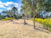Terreno/Finca Rústica en venta en Lloret de Mar, Girona...
