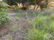 Terreno/Finca Rústica en venta en Lloret de Mar, Girona...
