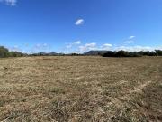 Terreno/Finca Rústica en venta en Llucmajor, Mallorca