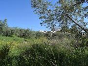 Terreno/Finca Rústica en venta en Los Gallardos, Almería...